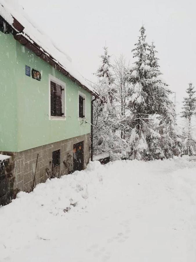 Forest Chalet Zalesina Экстерьер фото